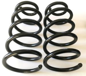 Molle di carico sostitutive posteriori rinforzate Punto 2° IDEA MUSA /YPISILON